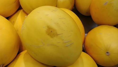 黄色的瓜咋吃,黄色瓜果的多样食法探索