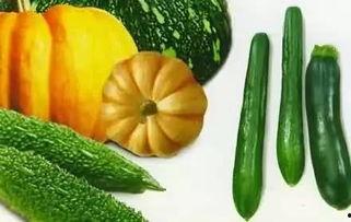 济宁老丝儿吃瓜,探寻济宁老丝儿独特吃瓜文化