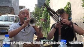 公社吃瓜社员,揭秘农村生活的酸甜苦辣