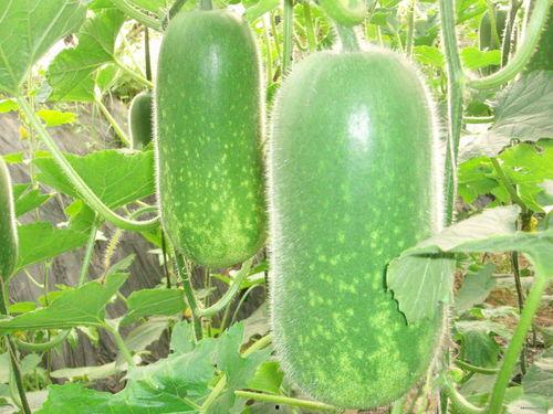 9213吃瓜,揭秘娱乐圈背后的那些事儿