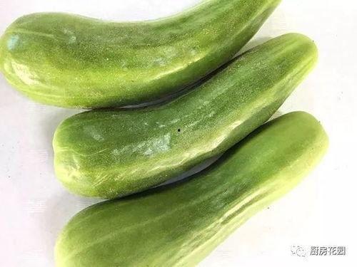 学校花园吃瓜,花园里的夏日美味时光