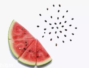 吃瓜吐籽特效教程,告别尴尬瞬间