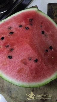 鸽子神吃瓜,揭秘娱乐圈的幕后故事