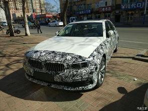 庄河吃瓜宝马车,引发网友热议！