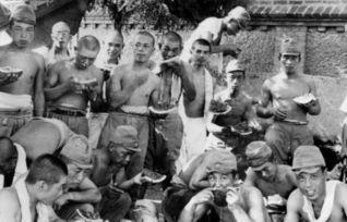 日军吃瓜,一场意外的“吃瓜”之旅