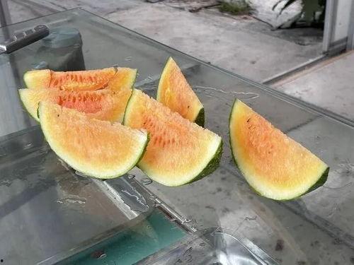 实现吃瓜自由视频大全