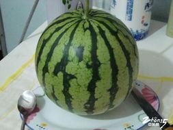 找地方吃瓜,找地方吃瓜，尽享清凉时光