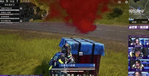 吃瓜甜美游戏名字,揭秘“吃瓜甜美”的独特魅力