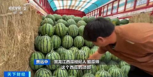 各地吃瓜事件包头