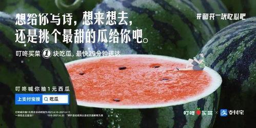 吃瓜的人文案,揭秘“吃瓜群众”背后的故事与现象