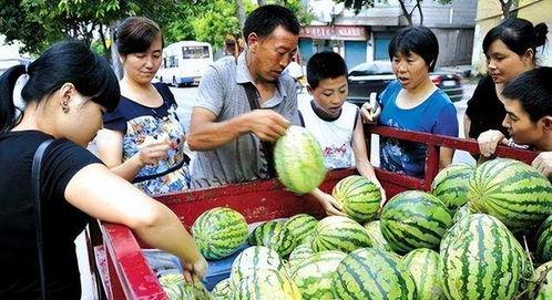 吃瓜客远方果,吃瓜客眼中的神秘果实之旅