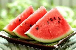 人类吃瓜协会,瓜界风云录