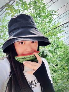 集妹吃瓜,揭秘娱乐圈那些不为人知的幕后故事